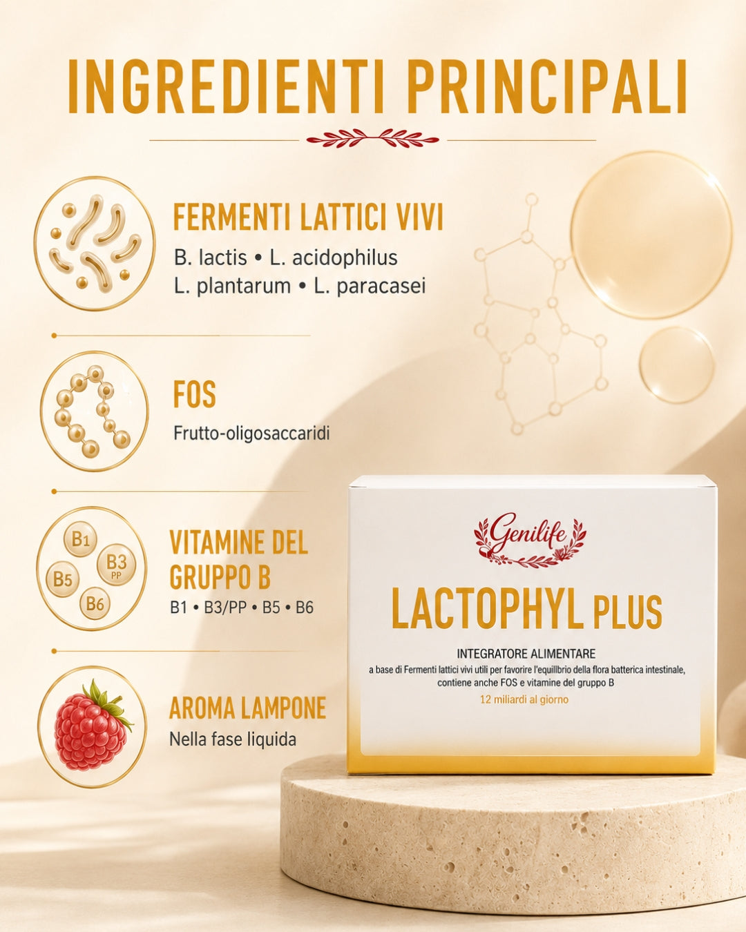 Lactophyl Plus – Fermenti lattici